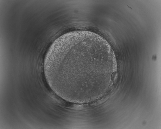 X0000116810083201001081404