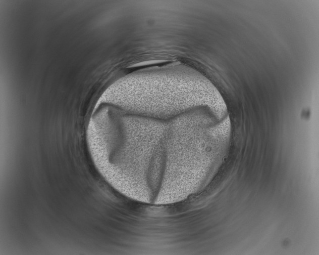 X0000116810085201001081404