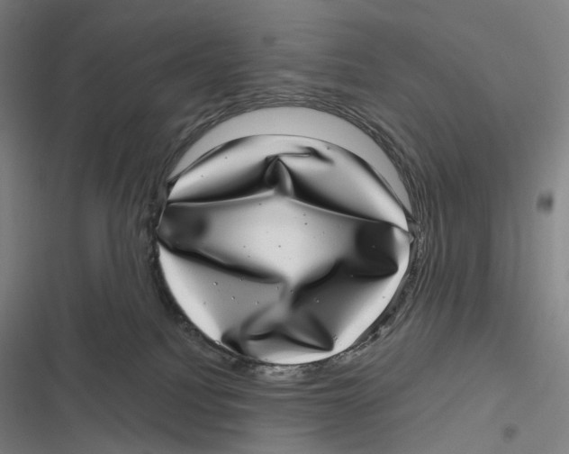 X0000116810088201001081404