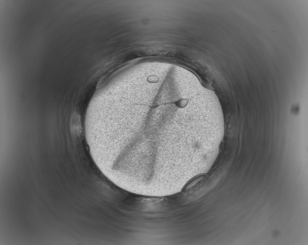 X0000116810089201001081404