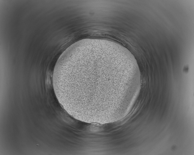 X0000116810094201001081404