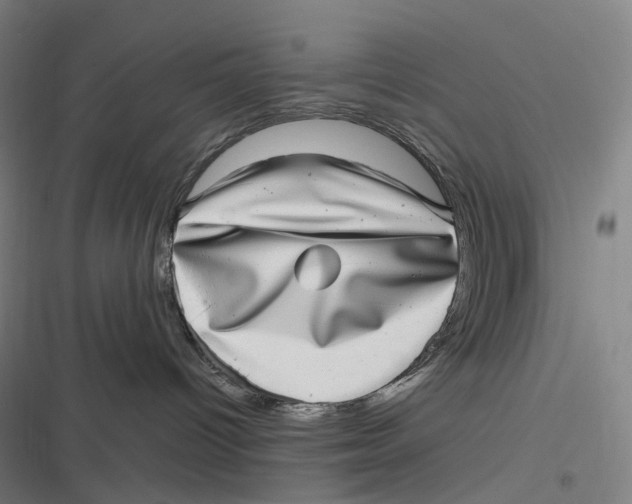 X0000116810096201001081404
