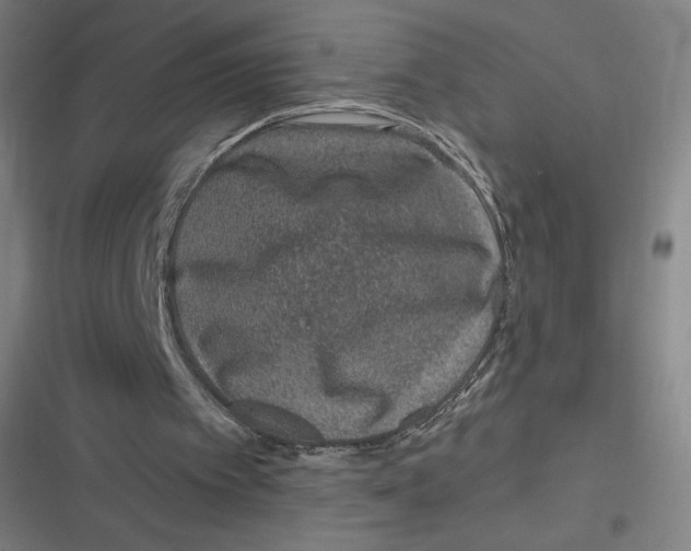 X0000116810097201001081404