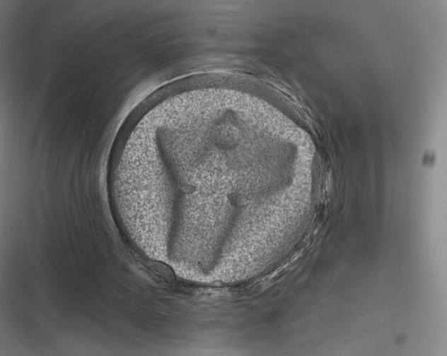 X0000116810099201001081404