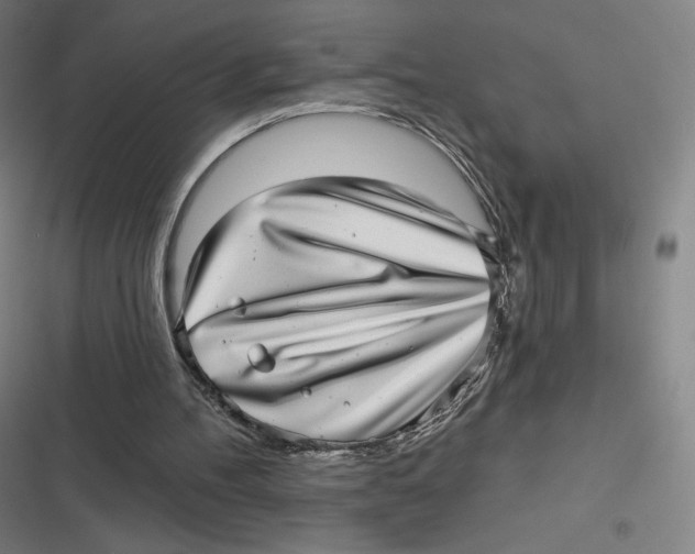 X0000116810100201001081404