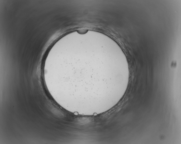 X0000116810102201001081404