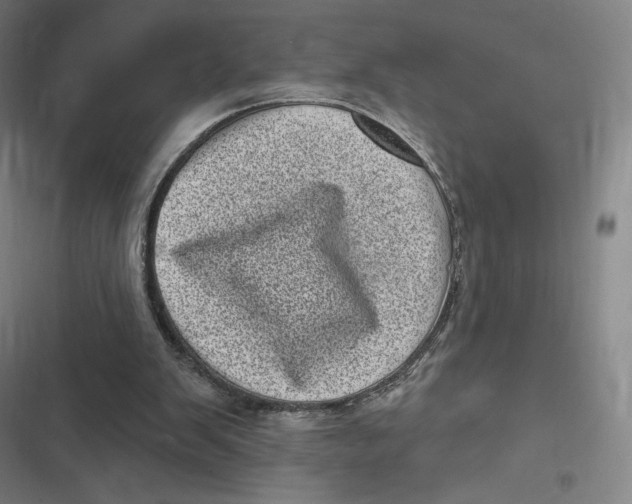 X0000116810103201001081404