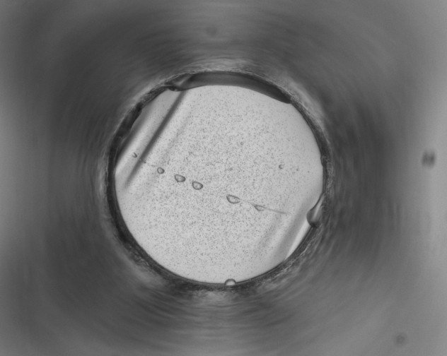 X0000116810107201001081403