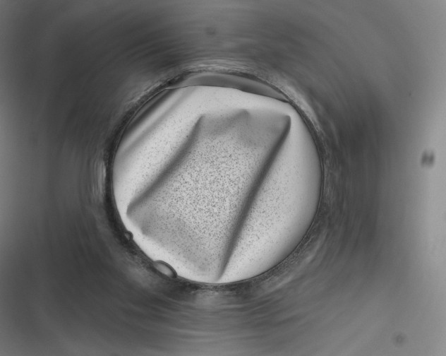 X0000116810109201001081403