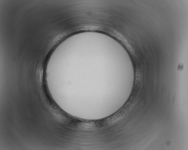 X0000116810110201001081403