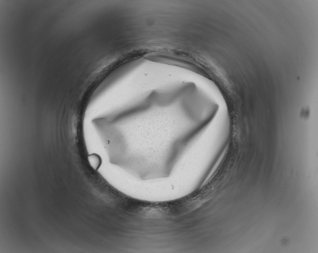 X0000116810115201001081403