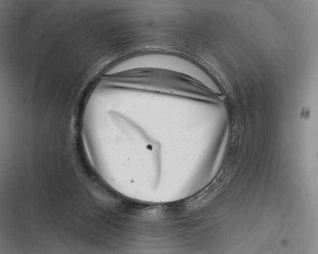 X0000116810116201001081403