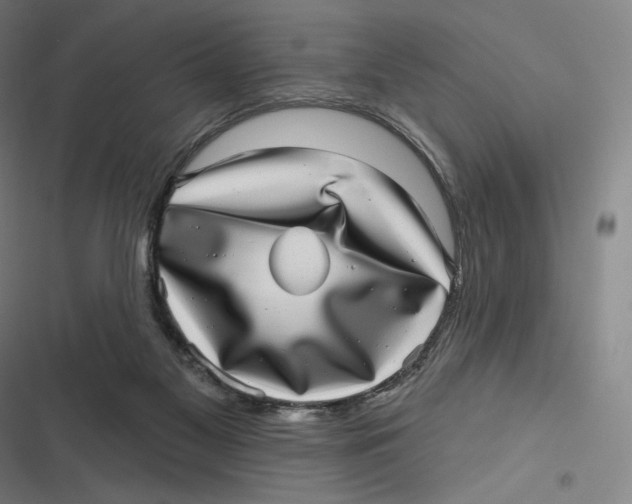 X0000116810117201001081403
