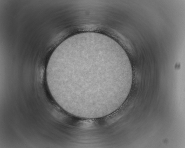 X0000116810118201001081403