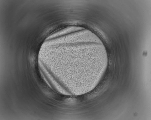 X0000116810119201001081403