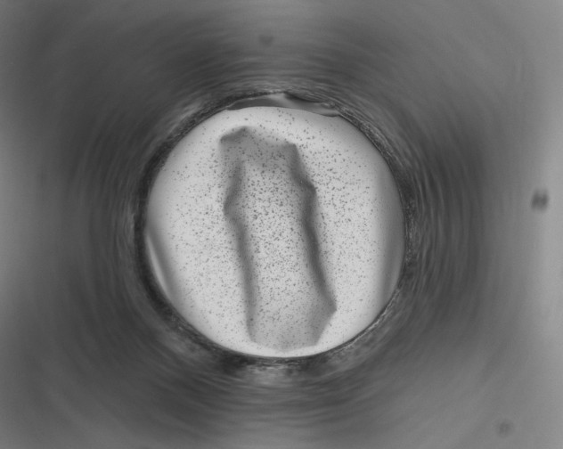 X0000116810120201001081403