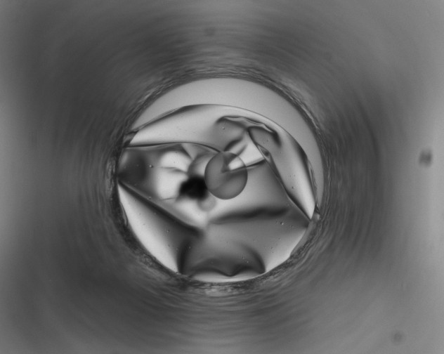 X0000116810121201001081403
