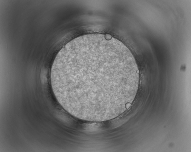 X0000116810122201001081403