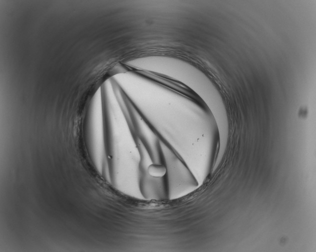 X0000116810125201001081403