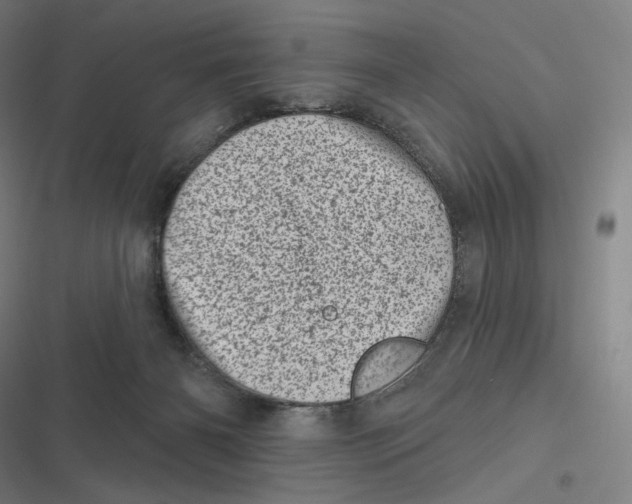 X0000116810126201001081403