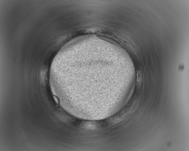 X0000116810127201001081403