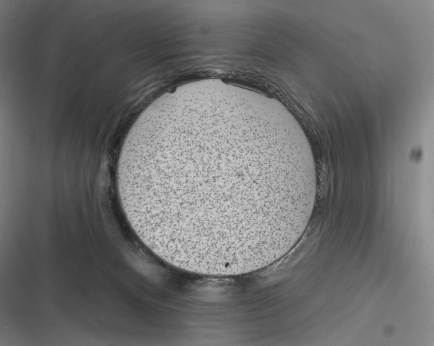 X0000116810128201001081403