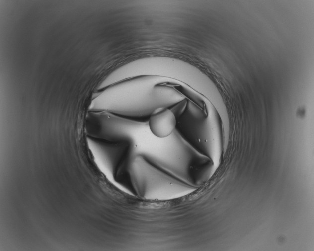 X0000116810129201001081403