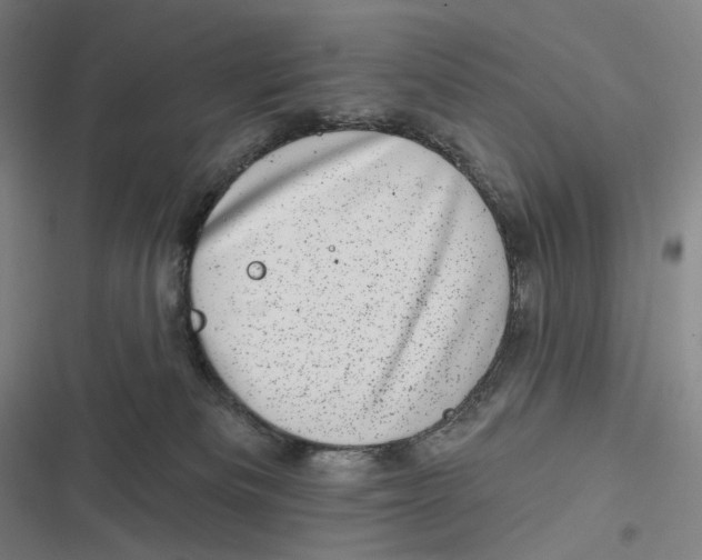 X0000116810133201001081403
