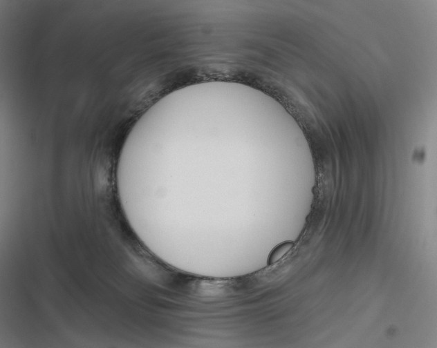 X0000116810134201001081403