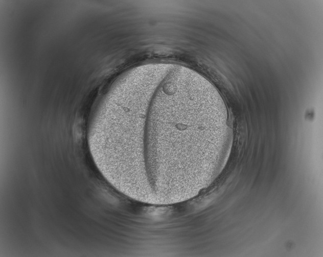 X0000116810135201001081403