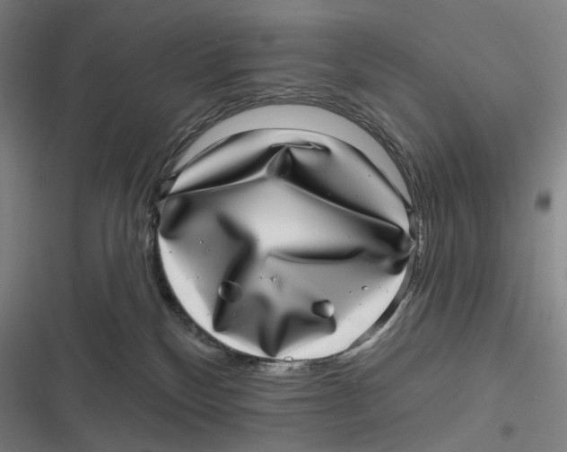 X0000116810136201001081403