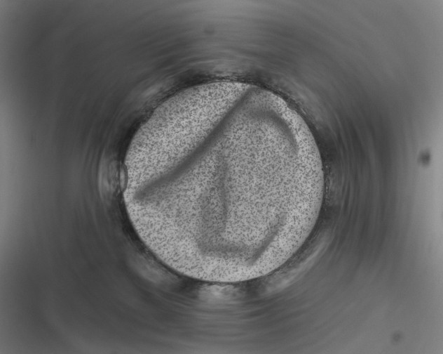 X0000116810137201001081403