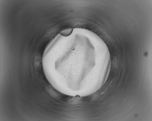 X0000116810138201001081403