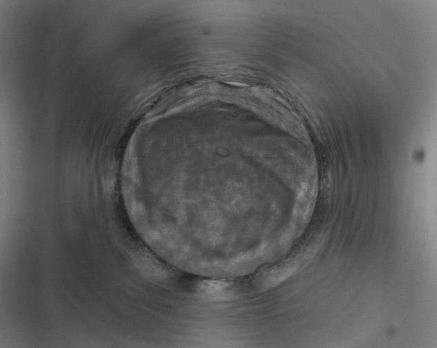 X0000116810139201001081403