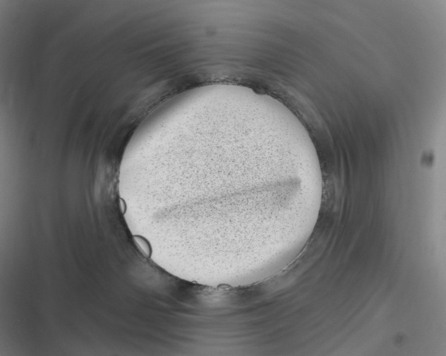 X0000116810142201001081403