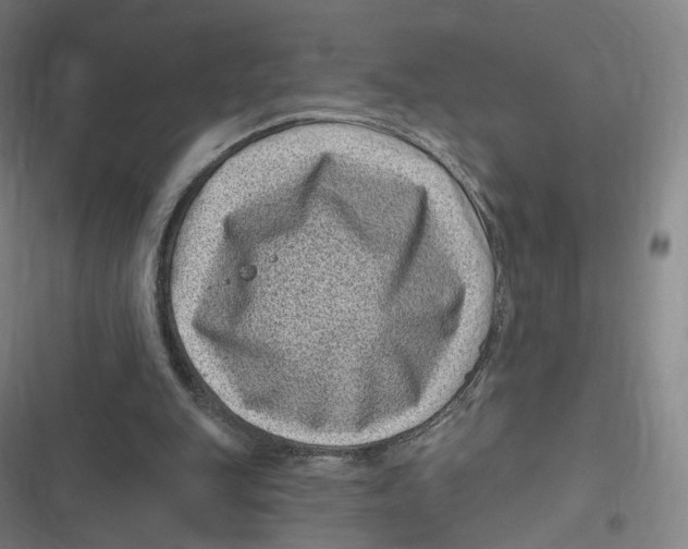 X0000116810151201001081402