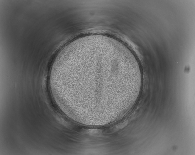 X0000116810153201001081402