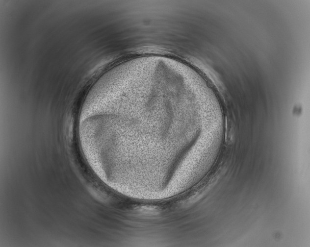 X0000116810157201001081402