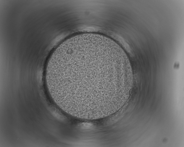X0000116810159201001081403