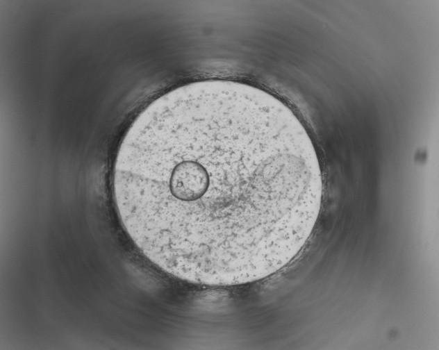 X0000116810162201001081403