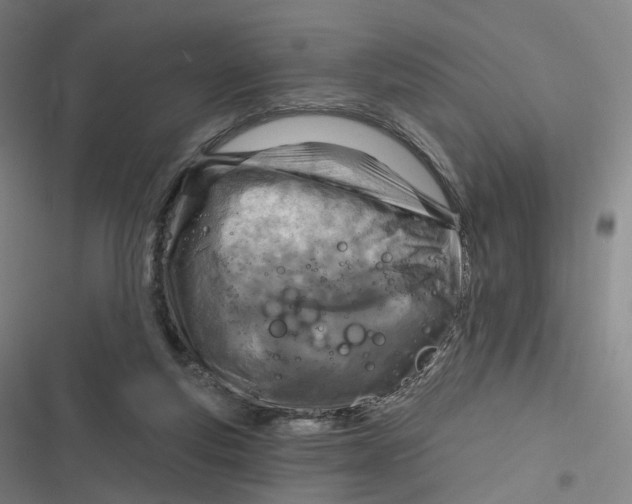 X0000116810163201001081403