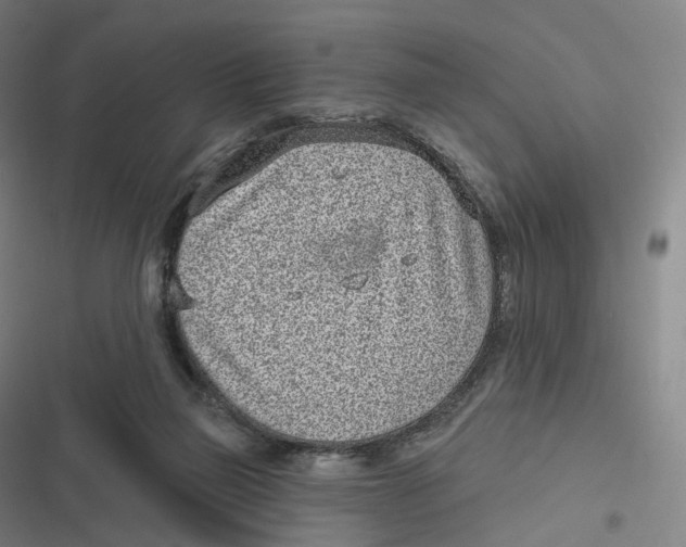 X0000116810165201001081403