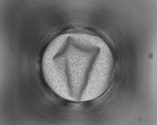 X0000116810170201001081403
