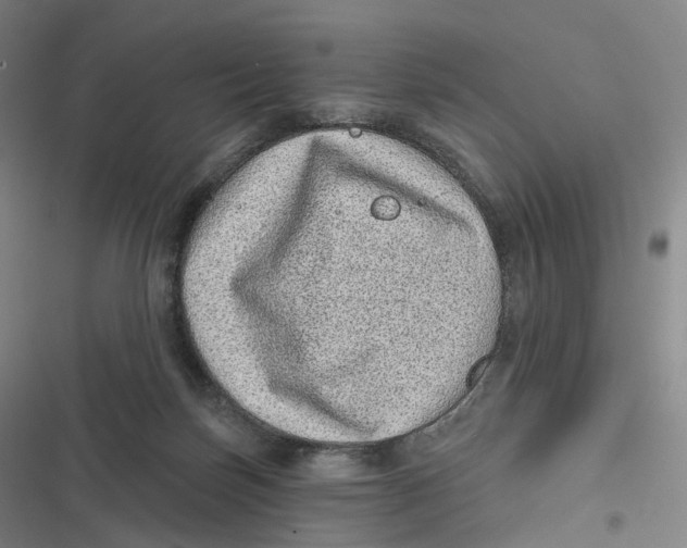 X0000116810171201001081403