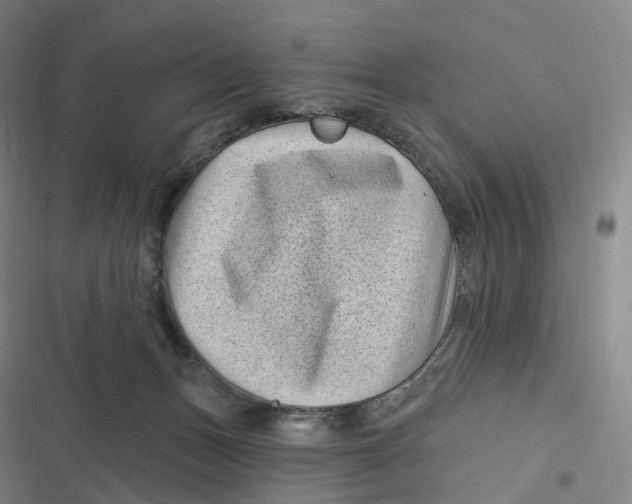 X0000116810175201001081403