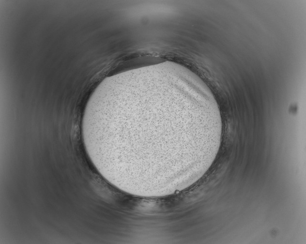 X0000116810177201001081403