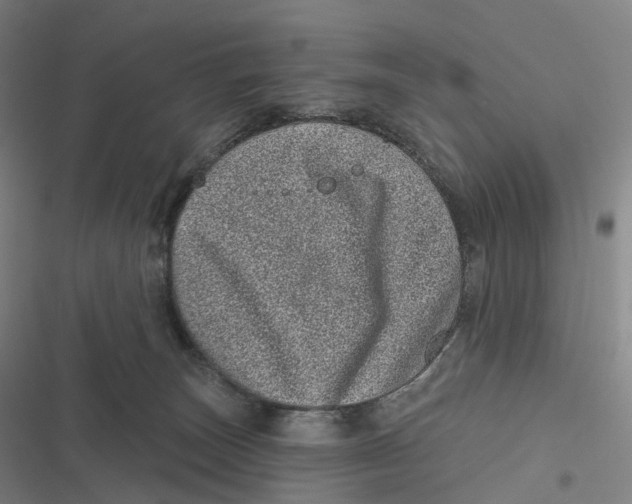 X0000116810179201001081403