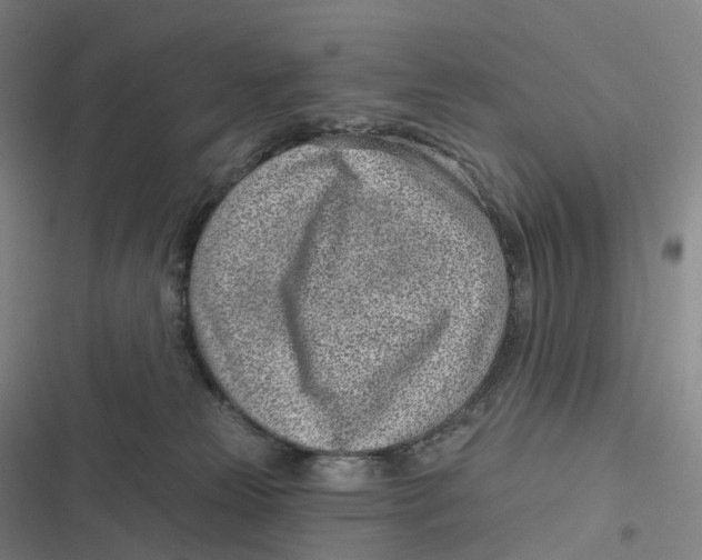 X0000116810181201001081403