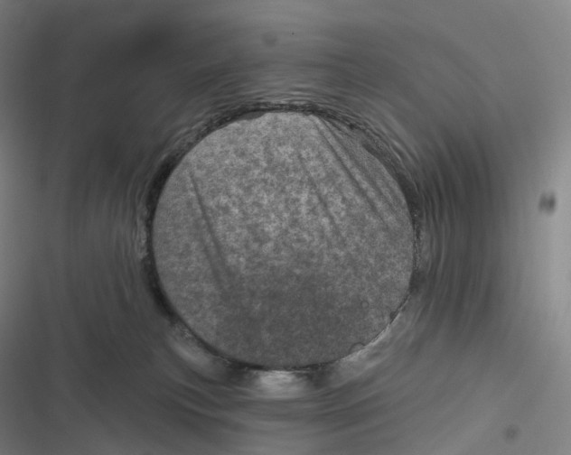 X0000116810183201001081403