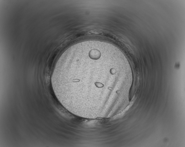 X0000116810186201001081403
